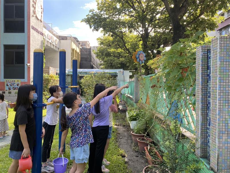 校園新發現圍牆的「葫蘆瓜」結了五六個好可愛~, 中鋼幼兒園
